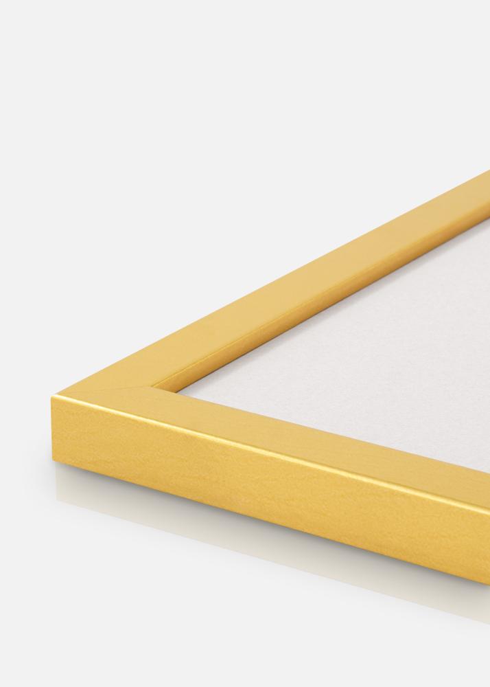 Bilderrahmen Gold Breit 29,7 x 42 cm (DIN A3)